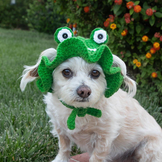 Crochet Frog Pet Hat (Hunter Green): Handcrafted Costume for Cats & Small Dogs