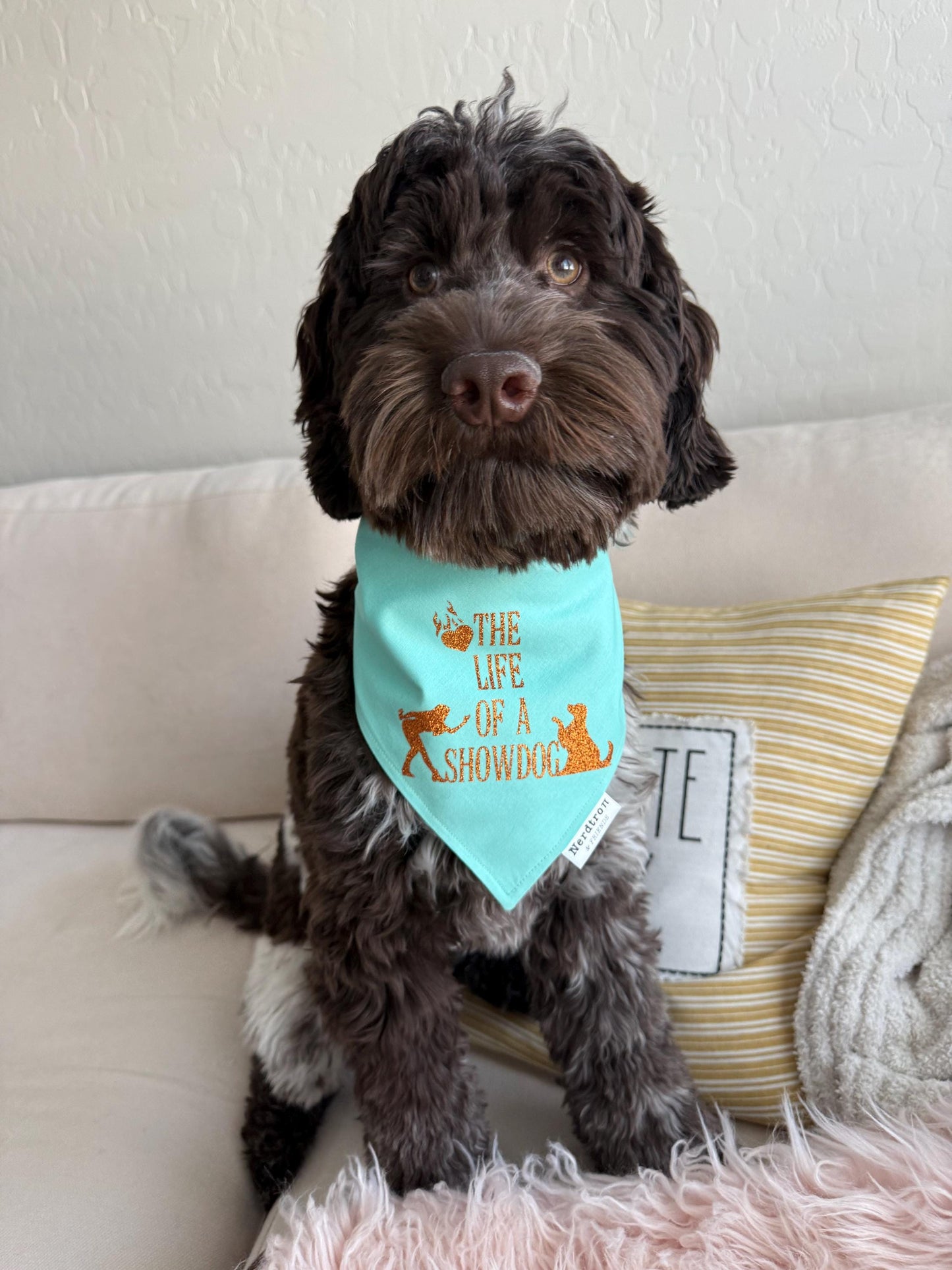 Life of a Showdog Bandana – Teal & Orange Glitter | TS12 Inspired | Life of a Showgirl Dog Bandana | Next Era Showdog Accessory