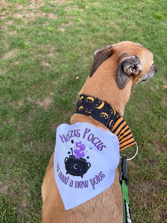 Halloween Dog Collar and Bandana | Hocus Pocus We Need a New POTUS | Funny Political Pet Collar